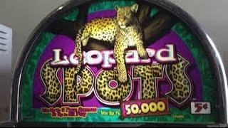 OLDIE IGT Leopard Spots slot machine free Spin bonus 5c denom