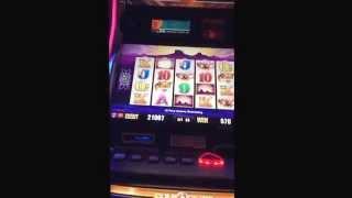 Buffalo cash express slot machine free games