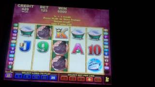 Hippo Luck Slot Bonus - Aristocrat