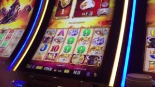 Buffalo Gold Slot Machine Free Spin Bonus #3 Treasure Island Casino Las Vegas