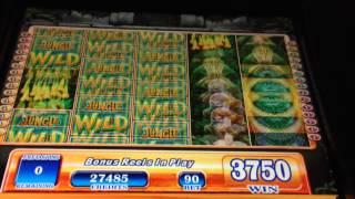Jungle Wild - WMS Slot Machine Bonus Win
