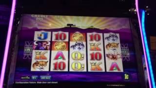 Buffalo Slot Machine Free Spin Bonus New York Casino Las Vegas