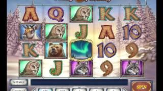 Wild North slot from Play’n GO - Gameplay