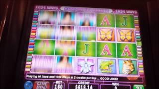 Wild Orchid HUGE Line Hit and Live Play 3 Cent