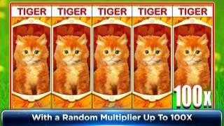 5x4 Reels OMG! Kittens™ Slot Machine Demo By WMS Gaming