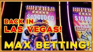 Vegas, WE MEET AGAIN! MAX BETS ON BUFFALO GRAND & ZHEN CHAN SLOTS !