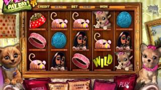 Pets Pay Day Slot Machine At 888 Games