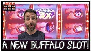 • BUFFALO GOLDEN 7's - A NEW DOLLAR SLOT • CASH ME OUT WITH NEILY777