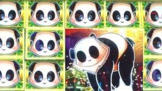 NEW * RISING PANDA SLOT * Pandas Everywhere!  Slots / Pokies