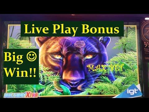 LIVE PLAY+ BIG LINE HIT & Bonus | IGT Prowling Panther Slot Machine Bonus