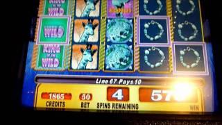 King of The Wild Slot Machine Bonus Win (queenslots)
