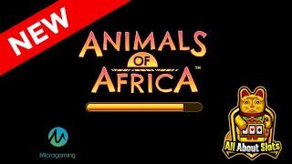 Animals of Africa Slot - Gold Coin Studios - Online Slots & Big Wins