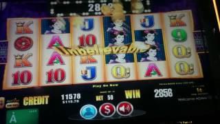 Nice Win - Samurai's Honor Slot Machine Line Hit