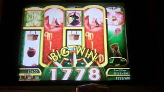 WMS Gaming - WOZ Ruby Slippers Slot Feature ~NICE WIN~