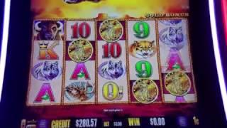 Buffalo Gold Worst Slot Machine Bonus !!!!!