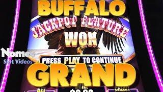 Buffalo Grand Slot Machine - New Game - Nice Bonus Win
