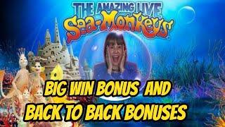 I didn't Monkey around! Big win bonus & back to back bonuses