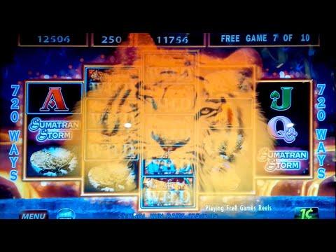 Sumatran Storm Slot Machine *BIG WIN* 100x Max Bet Bonus!