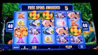 THE CHESHIRE CAT | WMS - All 4 Arrays - Slot Machine Bonus Feature