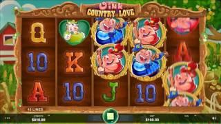 Oink Country Love Slot Features & Game Play - by Microgaming