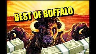 Best of Buffalo Slots