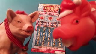 •Triple Jackpot•Scratchcard.•& •Bonus card.•.Flamingo Fortune... in our.•One Card Wonder Game•