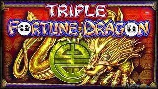 Triple Dragon Fortune • VLOG Flying Home •️ The Slot Cats •