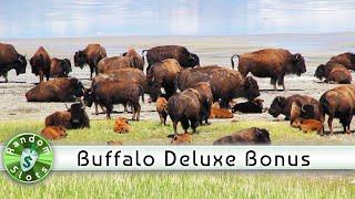 Buffalo Deluxe slot machine, Patience is Called For