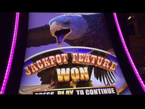 BUFFALO GRAND slot machine BONUS WIN!