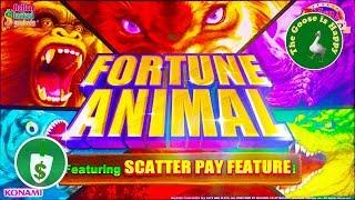 •️ NEW • Fortune Animal slot machine, Nice Win