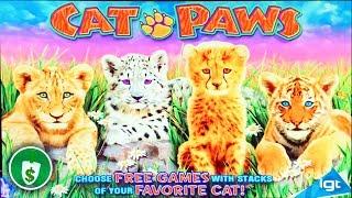 Cat Paws slot machine, bonus