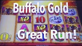 BUFFALO GOLD: Max Bet, Great Run, Big Wins!