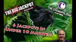 •The Raja Hits 6 Jackpots In Under 10 Minutes! | Shadow Of The Panther •