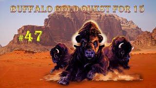 Buffalo Gold - Chasing 15 Buffalo Heads #47