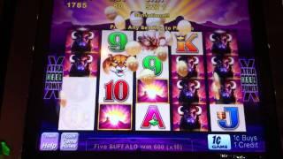 Aristocrat Buffalo Slot Win - Parx Casino - Bensalem, PA