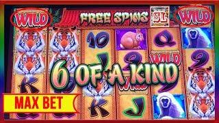 ** WIFE's SUPER BIG WIN ON GREAT TIGER ** SLOT LOVER **