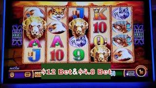 Buffalo Gold Slot Machine Bonuses With $4.8 and $12 Bet