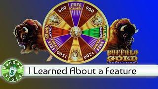 Buffalo Gold Revolution slot machine, Wins and Bonus