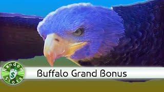 Buffalo Grand slot machine bonus