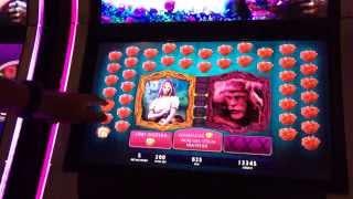 Another Great BELLE Win! ($2.00 Bet)