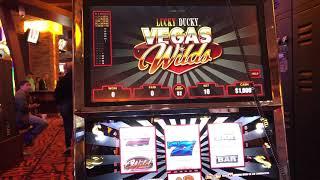 Lucky Ducky Vegas Wilds VGT Slots Red Screen Wins  Choctaw Casino, Durant, OK.