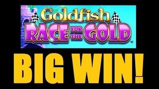 ★ MY BIGGEST WIN ON GOLDFISH RACE FOR GOLD! Slot Machine Bonus Win Vegas 2015! (DProxima)