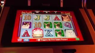 High Limit Free Play effort $30 bet Kitty Glitter slot machine