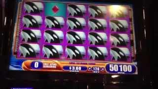 New Nayo Mega Big Win