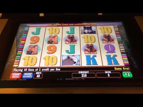 Wolf Run How to Lose $400 in 40 Seconds High Limit Slots $40 bet