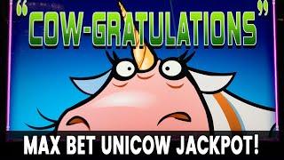 • Max Bet UNICOW JACKPOT • Hundreds of Free Spins - My BIGGEST EVER!