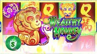 Wealthy Monkey slot machine, Coin Show