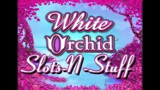 White Orchid Slot Play High Limit $960 a spin • Slots N-Stuff