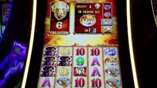 Buffalo Gold Max Bet Bonus | Las Vegas Slots