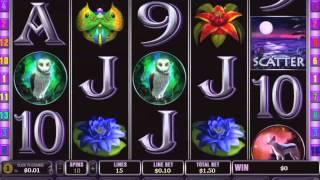 Panther Moon Slot Machine At Grand Reef Casino